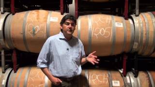 Gustavo discusses barrel aging and malolactic fermentation