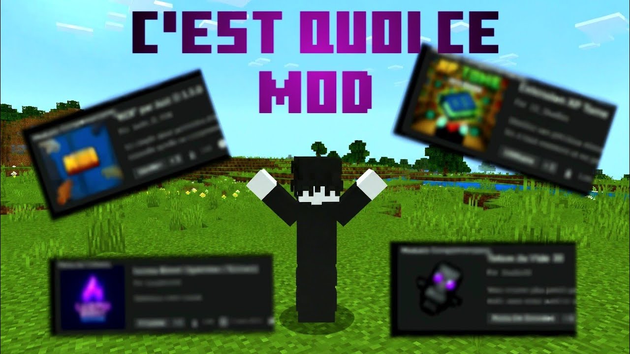 Montage jeux vidéo (minecraft)
