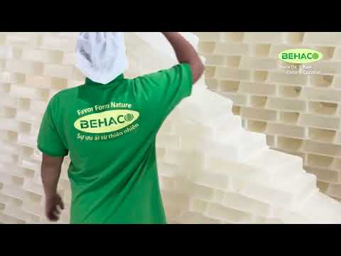 BEHACO produces - distributes Nata De Coco & Raw Coconut