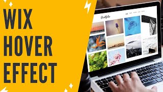 Wix Image Change On Hover: Wix Image Hover Effect Tutorial (Easy)