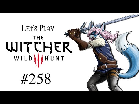 Let's Play The Witcher 3: Wild Hunt #258 - Von Milch und Finsternis