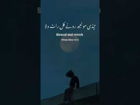 Tedi monjh roway kal raat wala saraiki slow Reverb song