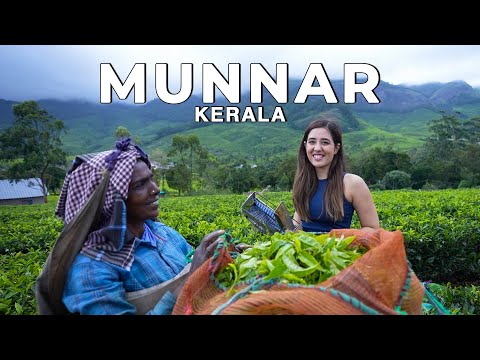 Munnar, Suryanelli Kerala in the Monsoon! The best vlog I've ever made | #WeekendTrips India