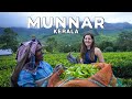 Munnar, Suryanelli Kerala in the Monsoon! The best vlog I've ever made | #WeekendTrips India