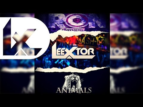 IRON ANIMALS (Leextor MashUp) - Dyro Nicky Romero feat Calvin Harris VS Martin Garrix