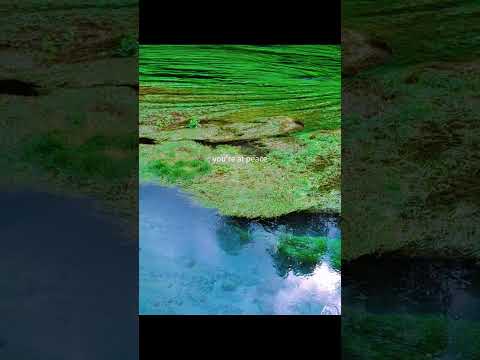 #shorts #youtubeshorts #youtube #travel