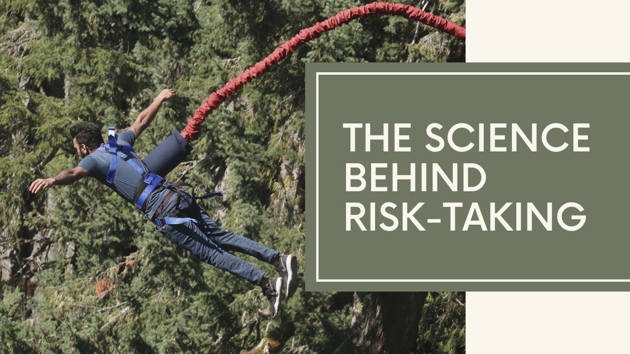 Risk-Taking and the Adolescent Brain