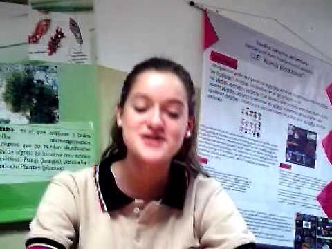 TESTIMONIO DE LOREDANA CON SOLO TRES MESES ESTUDIANDO