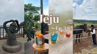 【Jeju trip EP.3】 韓国🇰🇷秋のチェジュ島旅行(映えカフェ/みかん狩り/乗馬)