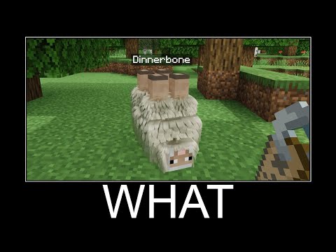 SHOCKING! Realistic sheep meme - Minecraft Part 107