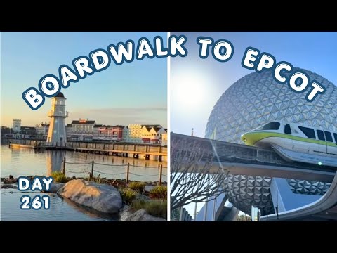 Live webcam of The Disney With Sean Show