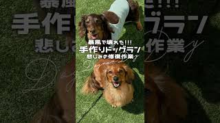暴風で壊れた！愛犬のための裏庭ドッグラン〜修復編〜【初心者DIY】
