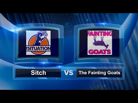Sitch vs The Fainting Goats - Finals - Music City Kickball Open Open #MCKO2016