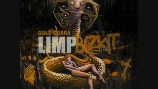 Limp Bizkit- Dancefloor New Song 2010