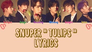 [CORRECT] SNUPER 스누퍼 " Tulips 튤립 " Lyrics (ColorCoded+Eng+Han+Rom)