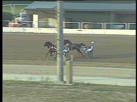 Trotto 01/09/2017 - 3ª prova di qualifica