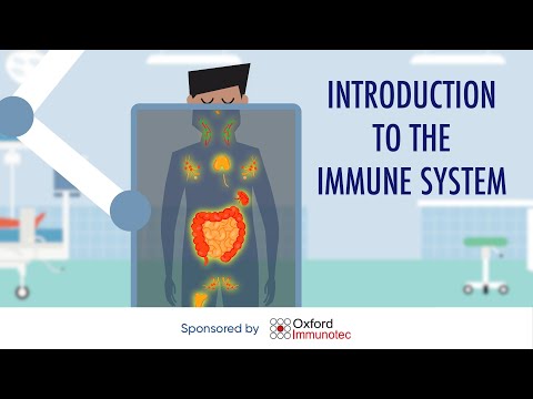 Introduction to the immune system
