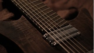 Behaving Badly By Animals As Leaders cover .Strandberg* Boden 8