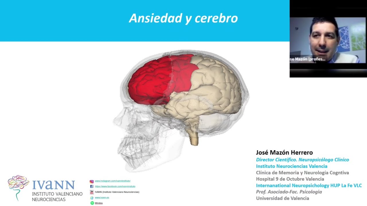 Ansiedad y cerebro (charla patrocinada por AEPSIS)