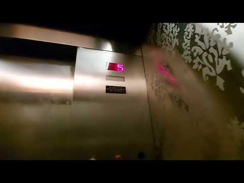 2010 Thyssenkrupp Elevator @ Thewit Doubletree in Chicago