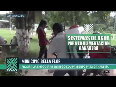 Gobierno invierte más de Bs 200.000 para impulsar actividad ganadera en Bella Flor, Pando