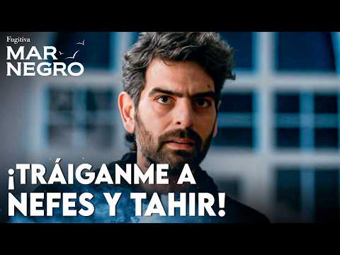 Vedat vuelve a echar leña al fuego - Mar Negro | Escenas Legendarias