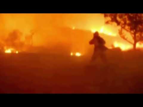 Talking Kitty Cat Episode 70: Gibson’s Worst Nightmare Ever!! (For @kat_atomic_fx2383)