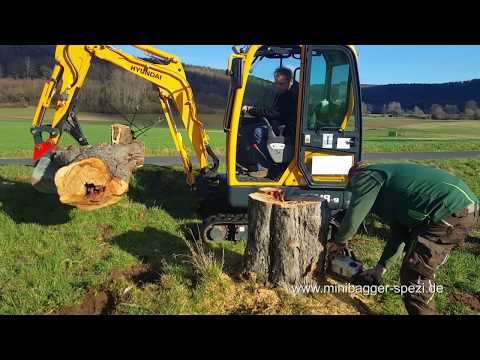 Baggerdaumen, Greifer im Einsatz bei Minibagger-Spezi in Biebergemünd. Baumstamm ohne Mühe bewegen.