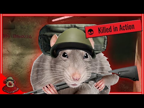 Extract Camping D2 to keep it safe... again...