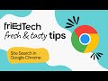Google Chrome - Site Search