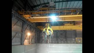 Waste to Energy Cranes