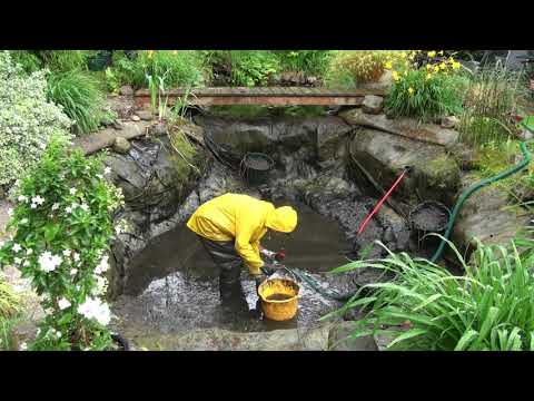 Wassersparen ist wichtig. Und es geht auch bei der Teichreinigung.
