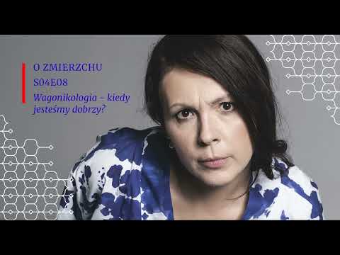 S04E08 – Wagonikologia  – O Zmierzchu