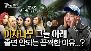 레드벨벳 빨간맛 속 야자나무🌴의 비밀....｜한태웅의 푸드트럭