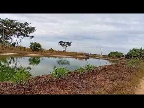 Tanque do Sampaio Tocantins 