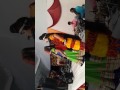 Dilip Gavaiya Bhajan Gayak