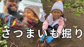 Potato digging event | swimming school | Japan 🇯🇵 | さつまいも掘り🍠