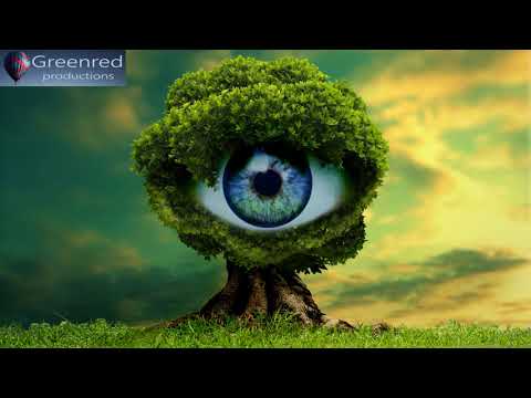 Happiness Frequency - Serotonin Released Music, Relaxing Music with Alpha Waves Binaural Beats