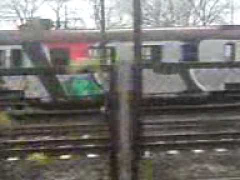 Shoot A Cop To Kill whole train