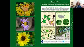Curious about how to include native plants for your garden?