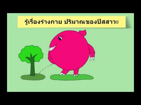 ปรับปรุงยาแรงชาย ขยายอวัยวะเพศชายล่าสุด