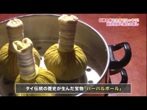 Programa de TV da Asia Herb Association para BS FUJI no Japão 2016