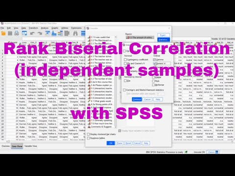 SPSS - Rang-Biserialkorrelation (Einzelstichproben)