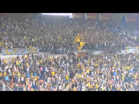 הדגל של המדינה