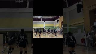 術後2年半ぶりのスパイカー/무릎수술 후 2년반만에 공격수🏐 #バレー #배구 #前十字靭帯断裂 #半月板損傷 #십자인대파열