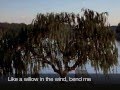 Willow in the Wind sung by Doreen Lai, Music arrangement by Martin Lai