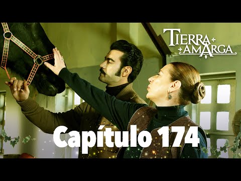 Bitter Land - Chapter 174