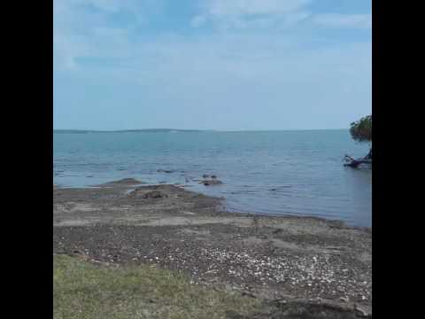 Rikonesans kompas knky