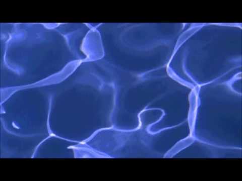 Perras on the beach - Turco X