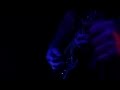 Bethlehem - "Maschinensohn" (live Brugge 2012)